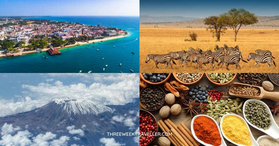 4 photos - mount kilimanjaro from above, a dozen of zebras in savannah land, island surrounded by water, spices on a spoon on top of the table - 3-WEEKS IN TANZANIA