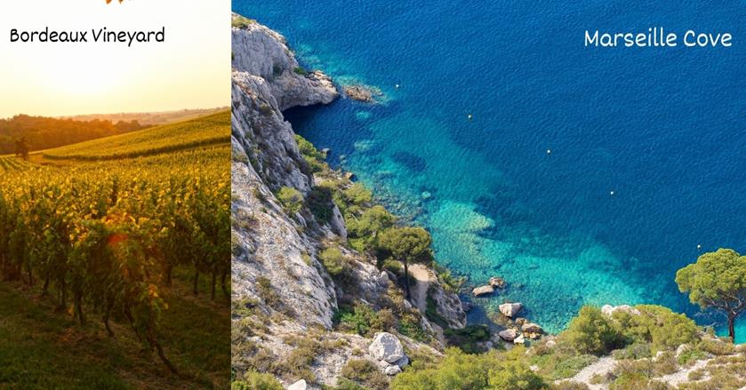 2 images - vineyards and marseille cove by the beach - 3-Weeks in France Itinerary