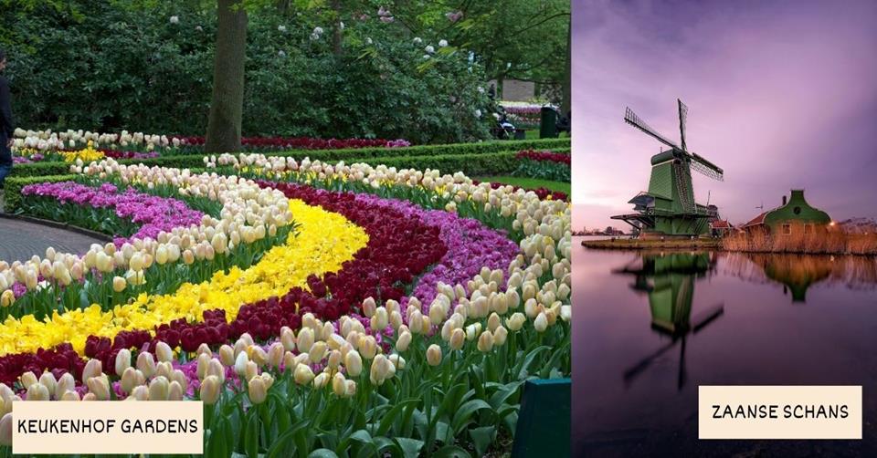 2 images - Keukenhof Gardens and Zaanse Schans in the Netherlands - Best Spring Destinations for a 3-week Trip