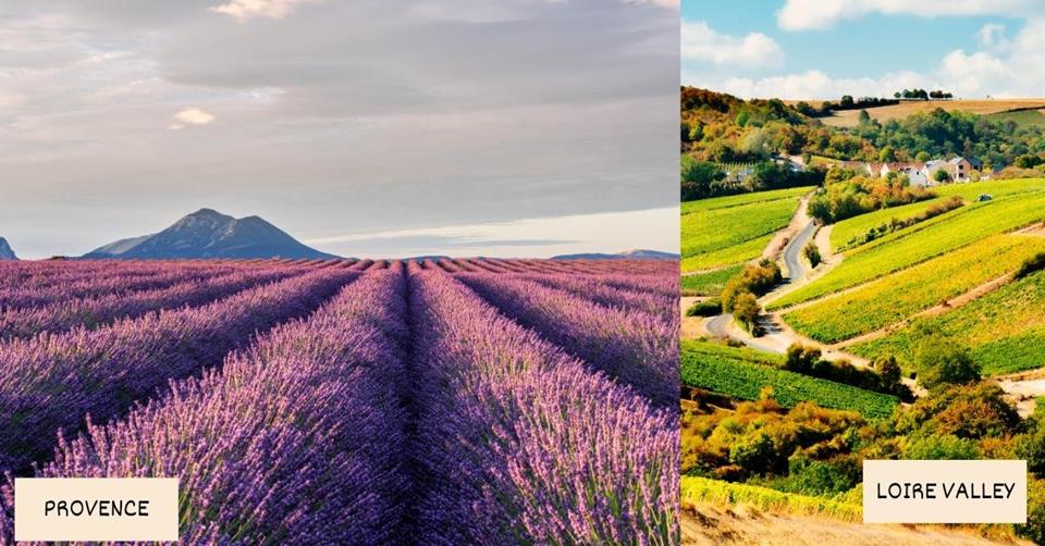 2 images - Provence' Lavander fields and Loire Valley in France - Best Spring Destinations for a 3-week Trip