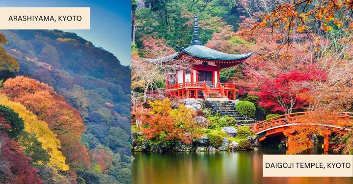 2 images - autumn foliage in Arashiyama and Daigoji Temple in Kyoto