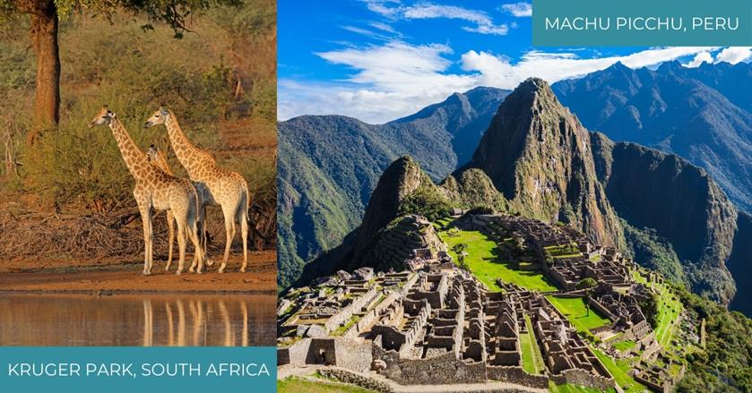 2 images - on the left are three giraffes along the river in Kruger Park South Africa. On the right is the Citadel of Machu Picchu in Peru