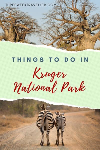 Before visiting Kruger Park, know that it's best to book accommodations and safari tours in advance. Bring essentials like sunscreen, insect repellent, and binoculars. Follow park rules, stay in vehicles during game drives, and enjoy the diverse wildlife. via @threeweektraveller