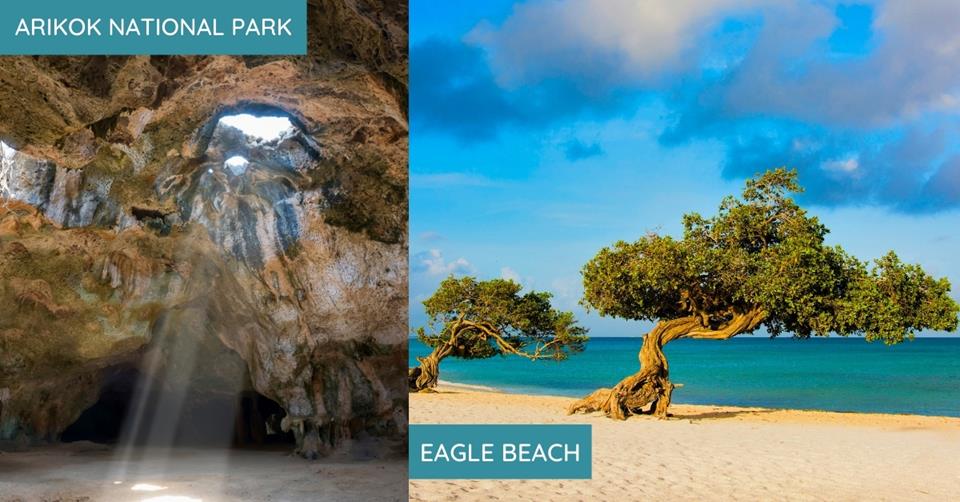 2 images - on the left is a cave with lights coming from the ceiling. on the right is the trees of Eagle Beach that grows on sand standing slanted toward the water.