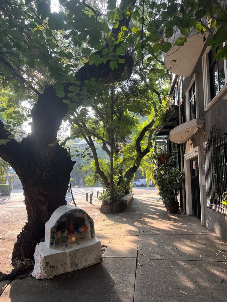 La Condesa. A charming area teeming with punk vibes.